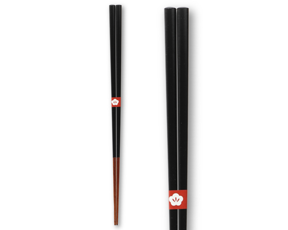 Chopsticks Shitsukotsu Black