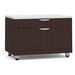 PL1012 TWO DRAWER PERSONAL CABINET- ESPRESSO
