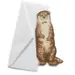 Hissing Mink Greeting Cards