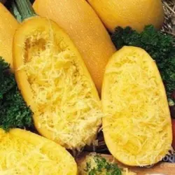 Winter Squash - Vegetable Spaghetti (Bulk Seed)