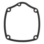 Gasket (P-62101)