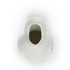 Container Dino 5.25" Zakkusaurus White