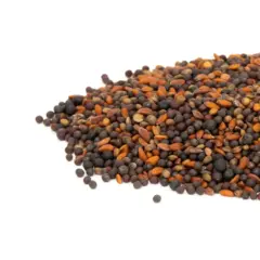 Mumm's Spicy Microgreen Sprouts
