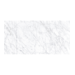 12X24 Carrara White
