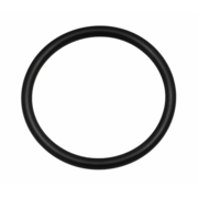 O-Ring (P-64685)