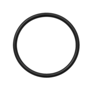 O-Ring (P-64689)