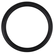 O-Ring (OR-PP-556)