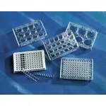 Costar Cell Culture Plates