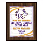 Standard Vividcolor AIO Award Plaques