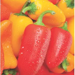 Sweet Pepper - Yum Yum Mix (Bulk Seed)