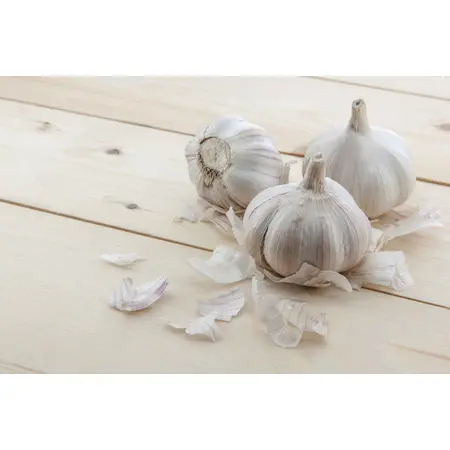 GARLIC WHOLE JUMBO OG | 5 LBS