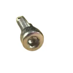 SCREWS PUSHING POINTS SUS304