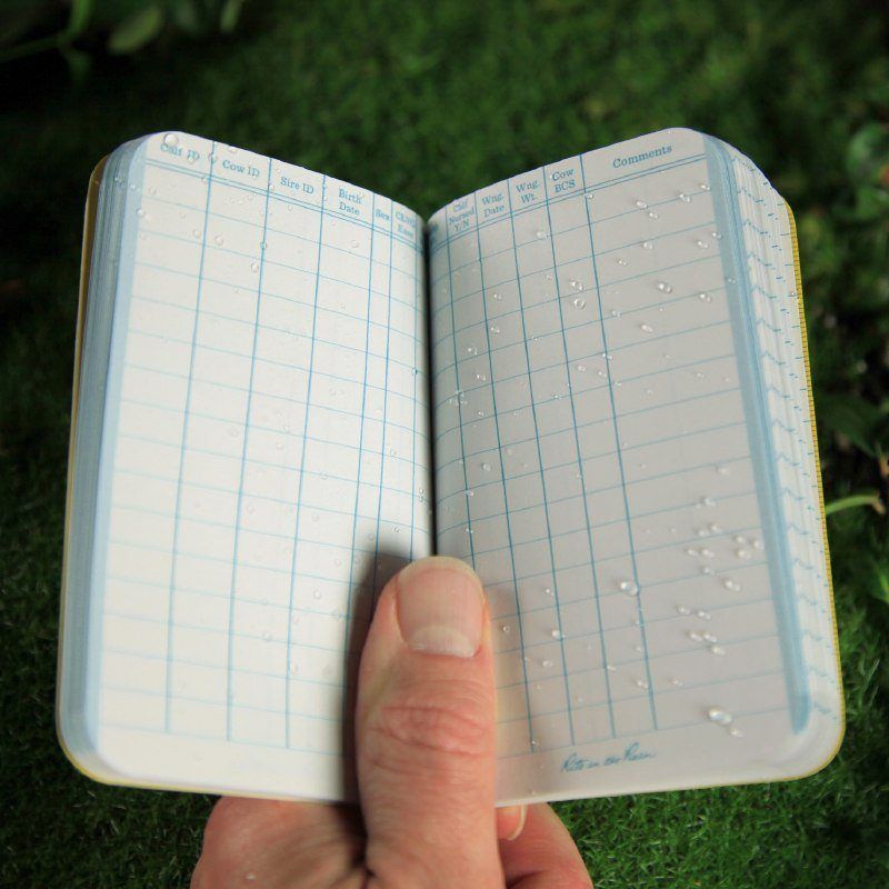 Hand holding book open to show calving form.