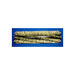 Broom, 36" 8 S.R. Proex & Wire