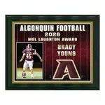 Deluxe Vividcolor AIO Award Plaques with Metal Border