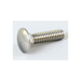 Scr- Carriage Ss 1/4-20 X 1.00