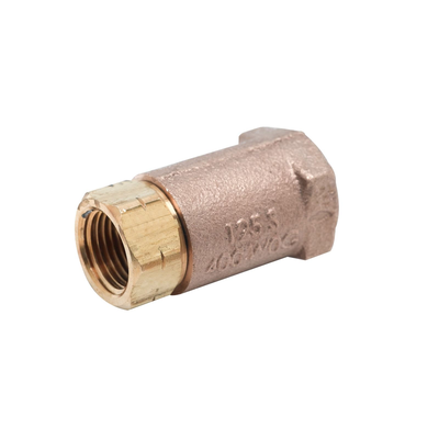T&S Brass B-CVH1-2 Check Valve 1/2" NPT Female