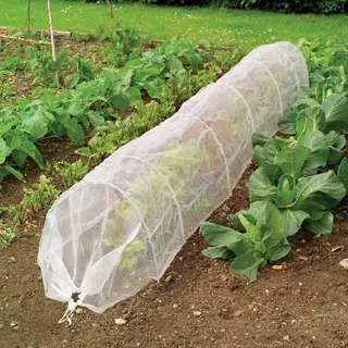 Insect Mesh Grow Tunnel