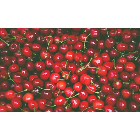 CHERRIES TART SWEETENED | 5 LBS