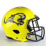Military Appreciation Camo Football Helmet Decals