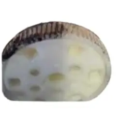 GEAR FOR UP/DOWN MOTOR