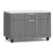 PL1012 TWO DRAWER PERSONAL CABINET- NEWPORT GRAY