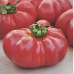 Tomato - Brandywine (Bulk Seed)