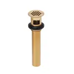 155A-BGPVD: Brushed Gold PO Plug Open Grid (PVD)