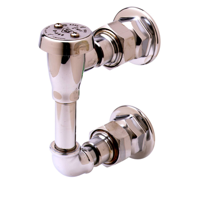 T&S Brass B-0929 Vacuum Breaker Assembly All Brass