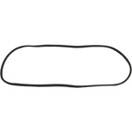 Windshield Gasket