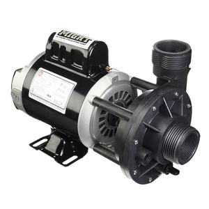 Waterway Iron Might Circulation Pump 10-3410030-1E