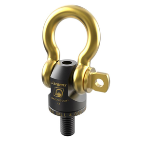 Shackle-Lok™ Hoist Rings