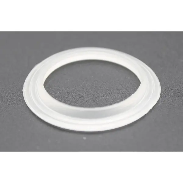Pentair Cyclone Euro Jet Gasket