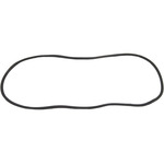 Windshield Gasket