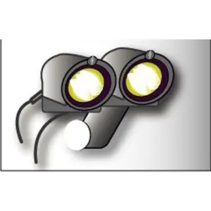 Headlights - Dual-Beam