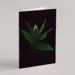 Plant Greeting Cards