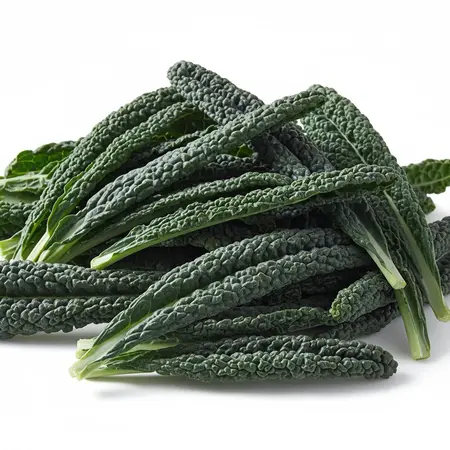 KALE LACINATO OG | 24 CT
