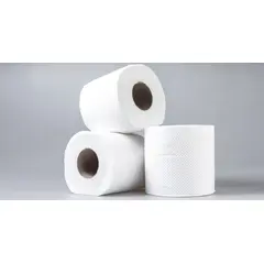 Toilet Tissue and Toilet Paper