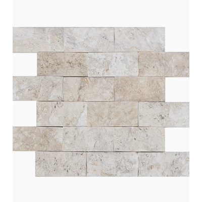 2X4 Shell Stone