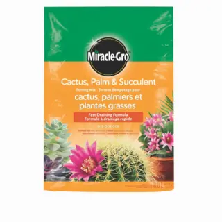 Miracle-Gro Cactus, Palm and Succulent Potting Mix