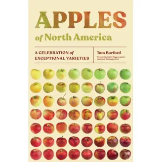 Apples Of North America