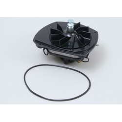 Motor Assembly