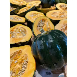 Winter Squash - Sweet Reba (Seed)