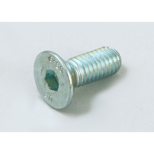 Screw