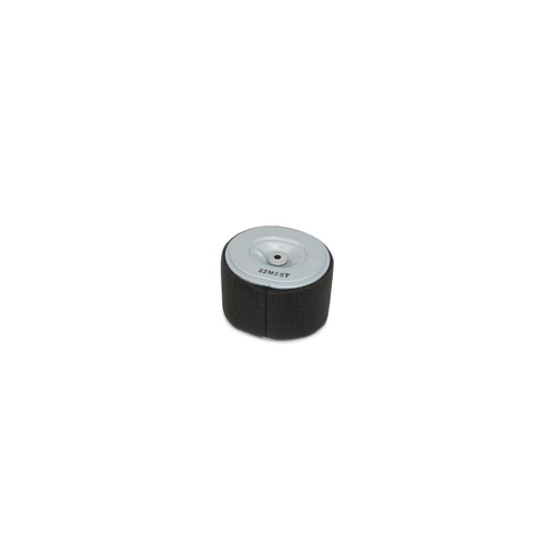 Nilfisk Advance - 1467218000 - Filter Air Engine Sip