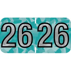 PMA Holographic Compatible Yearcode 97100 Label Rolls