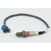 Exhaust Sensor