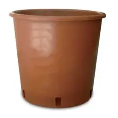 Terracotta Nursery Pot