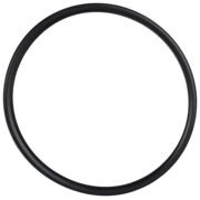 O-Ring (OR-PP-586Q)