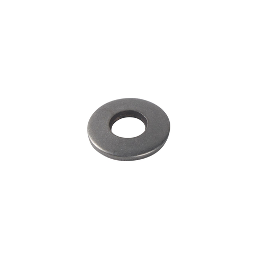 Tennant/Nobles - 4045119 - Washer, Belleville, .31 Ss (Replaces Tennant 1075287)